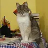 Отзыв от Татьяна Карасева